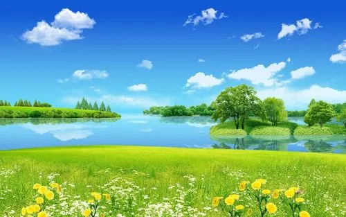 全自动电子节能
